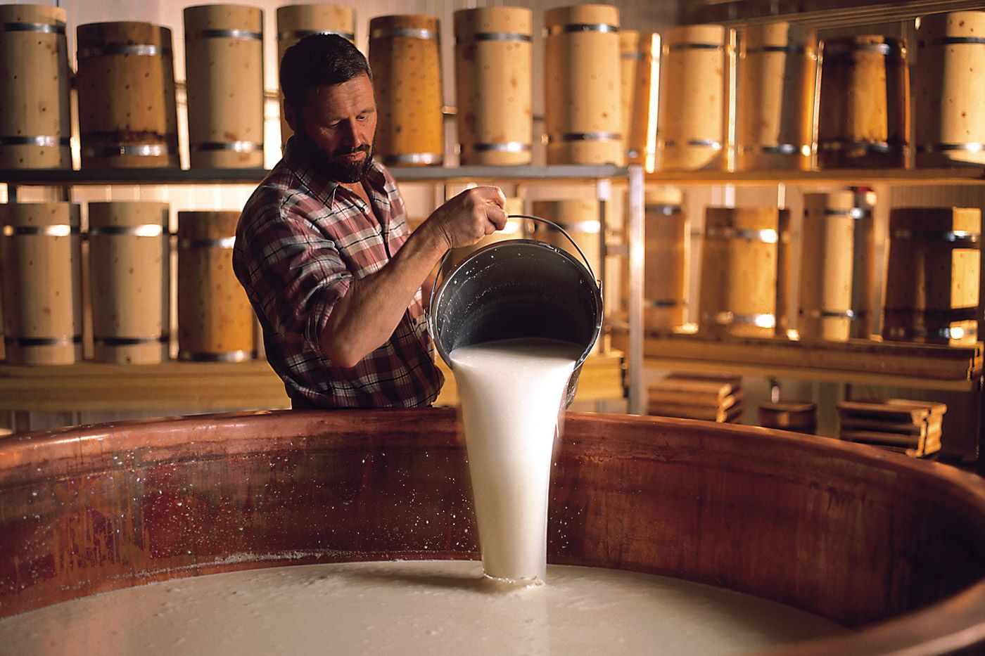 Hay milk tasting at Adventure Dairy Zillertal with fresh products